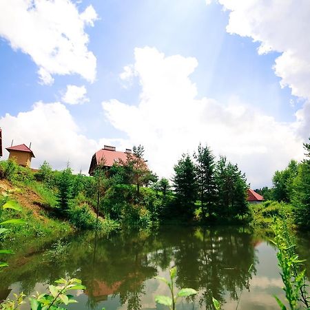 Villa Buhiv Skhidnytsia 外观 照片