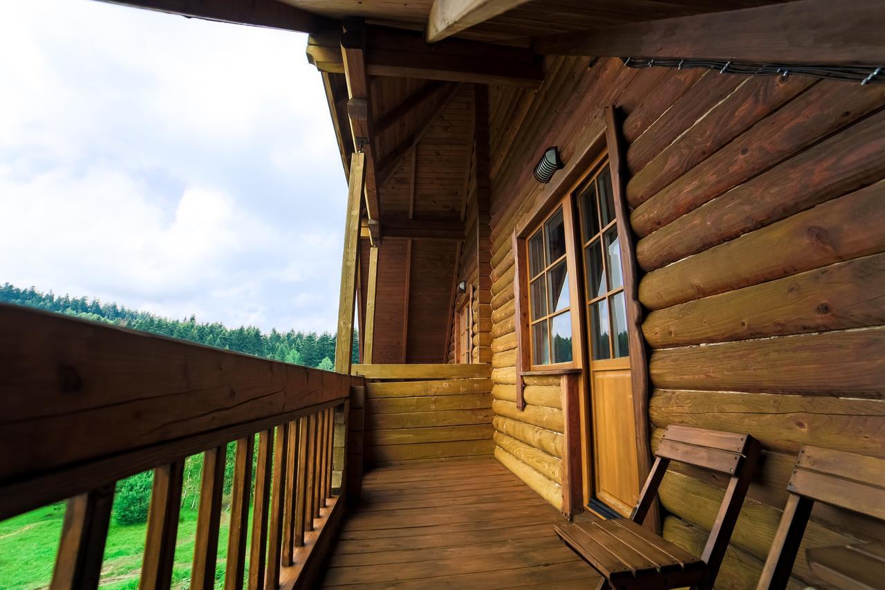 Villa Buhiv Skhidnytsia 外观 照片